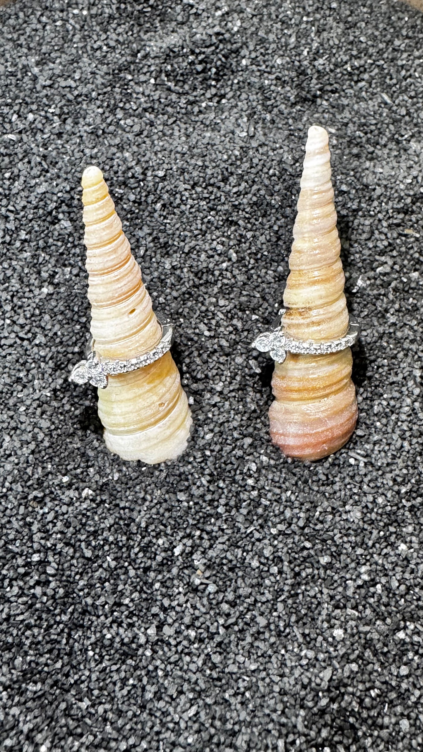 Stellair