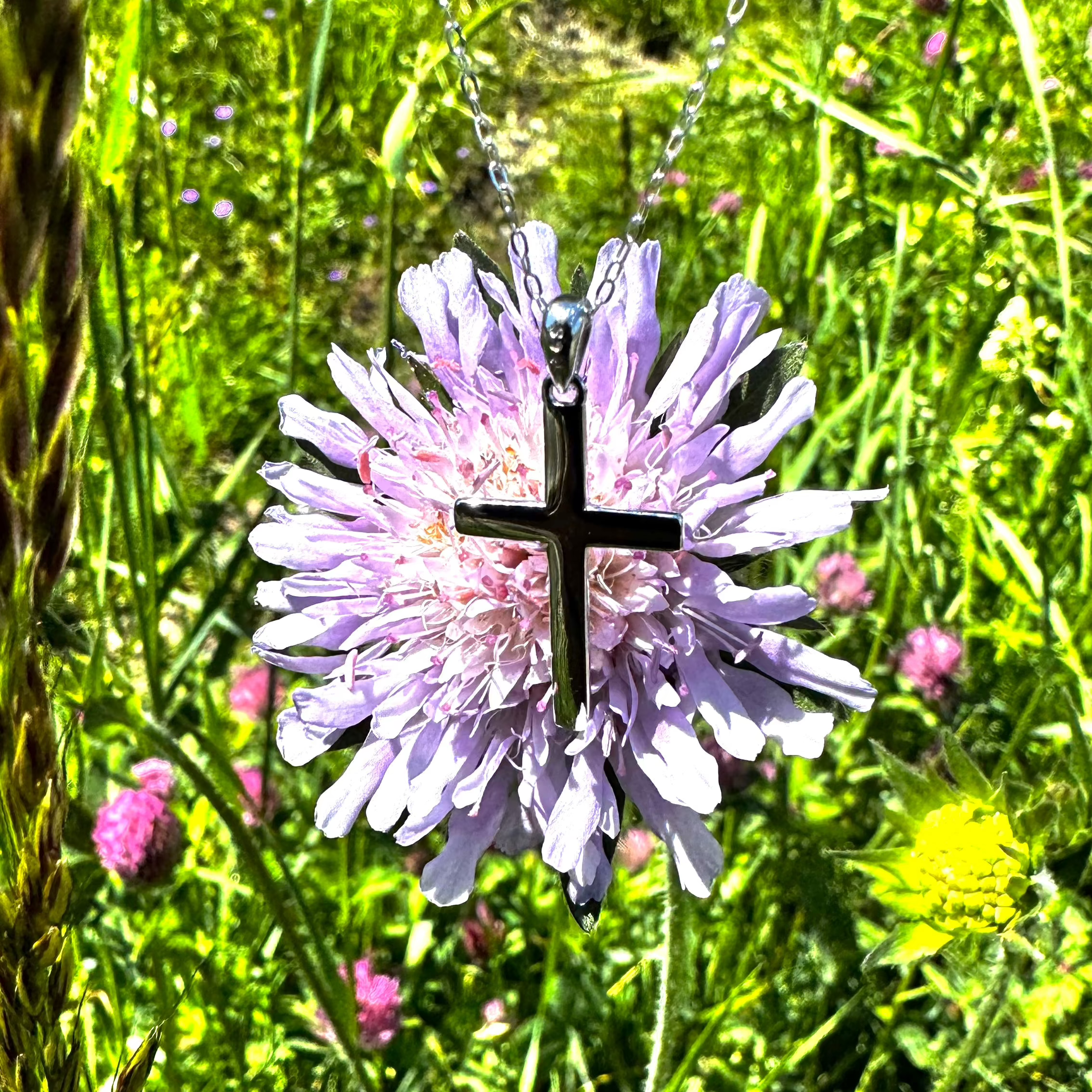 Aechmea fasciata Edelya