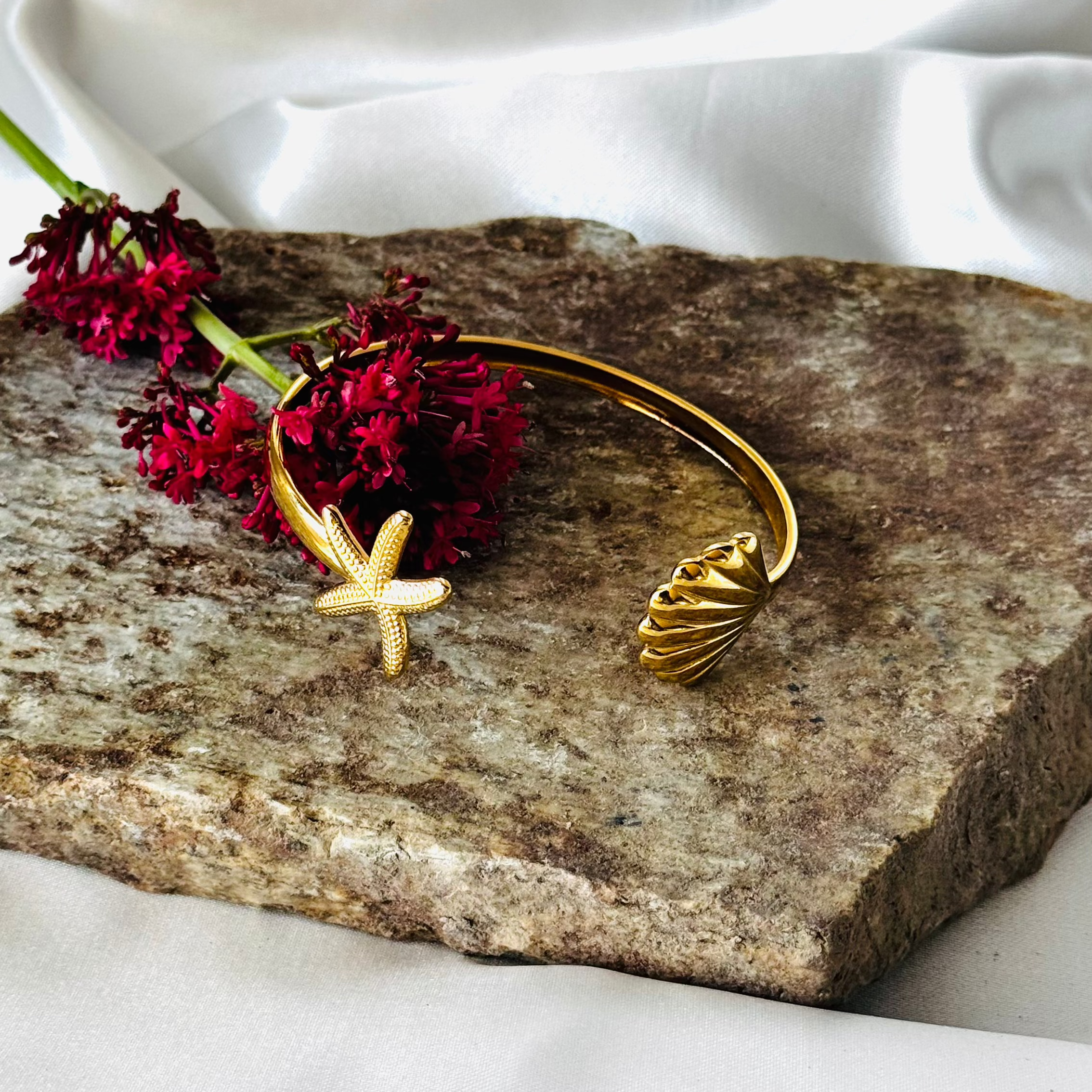 Androsace alpine EDELYA