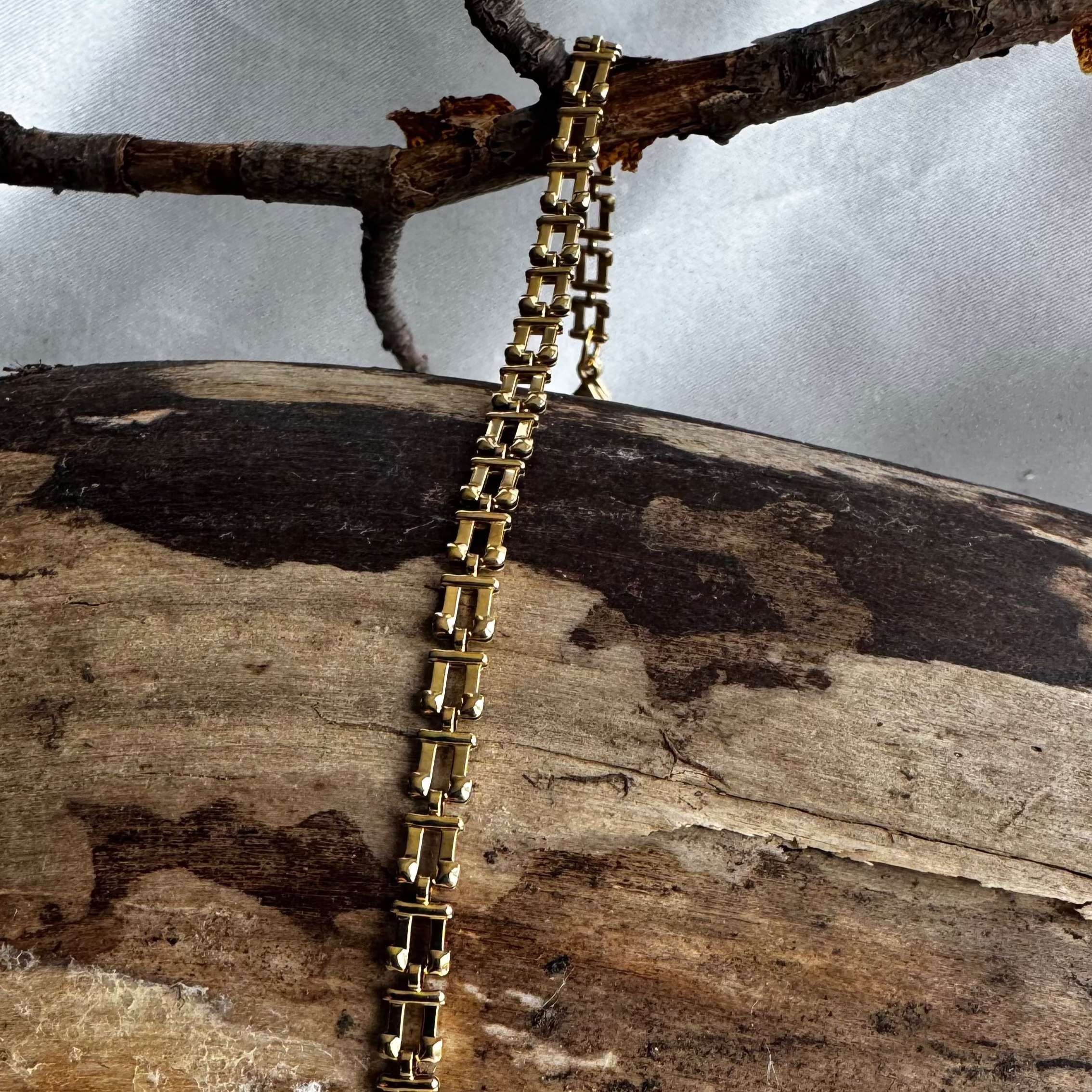 Archange jaune (Br) N