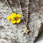 Armerie des Alpes EDELYA