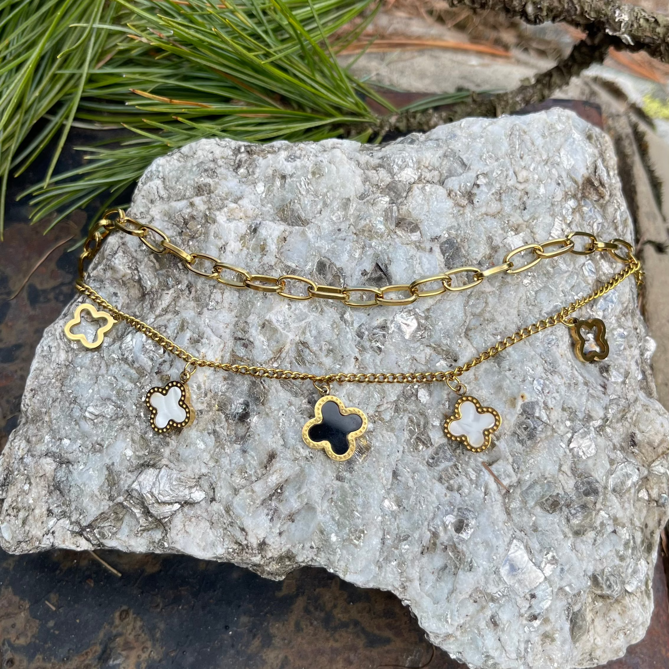 Bignone à vrille ASAJ