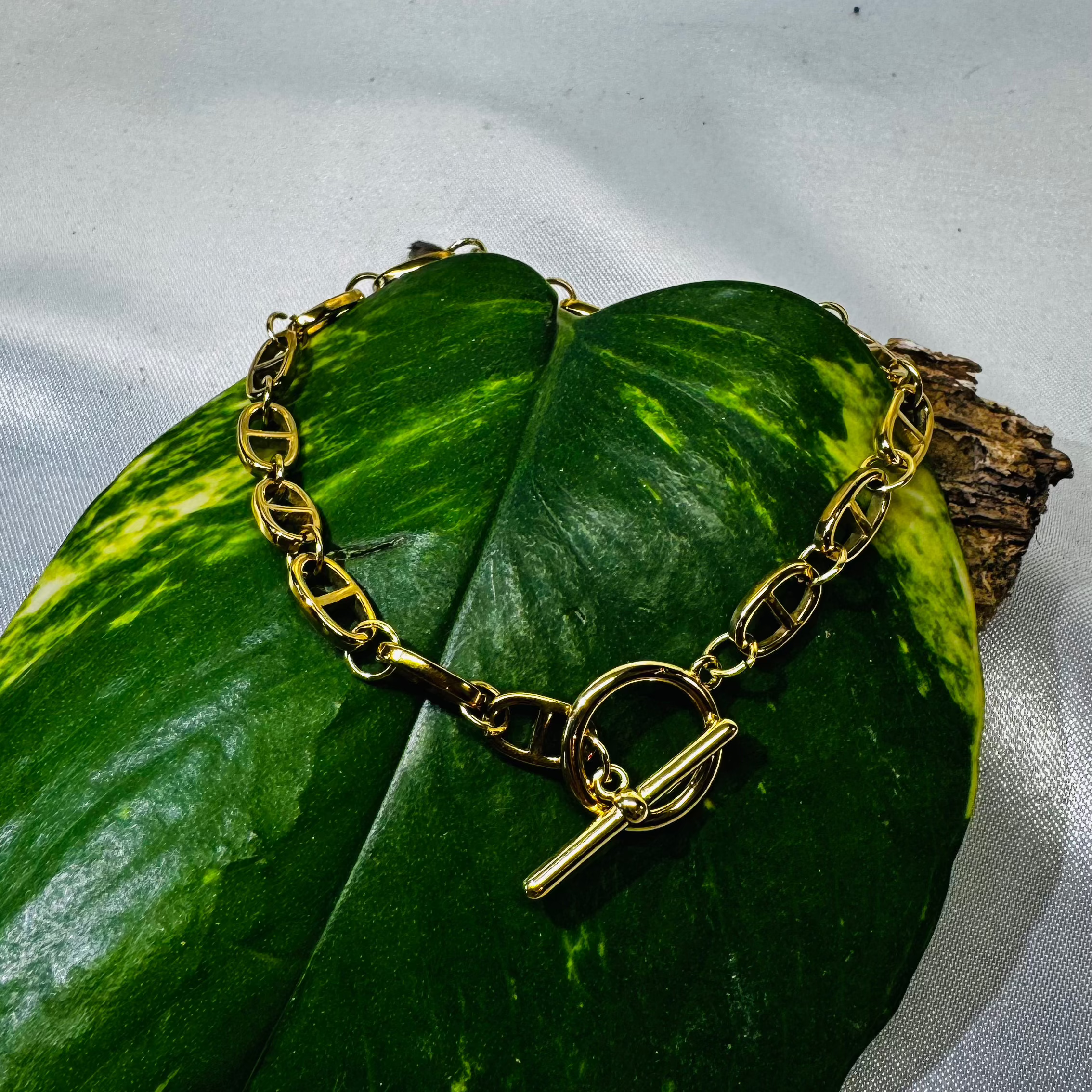 Galanthus Ma boutique