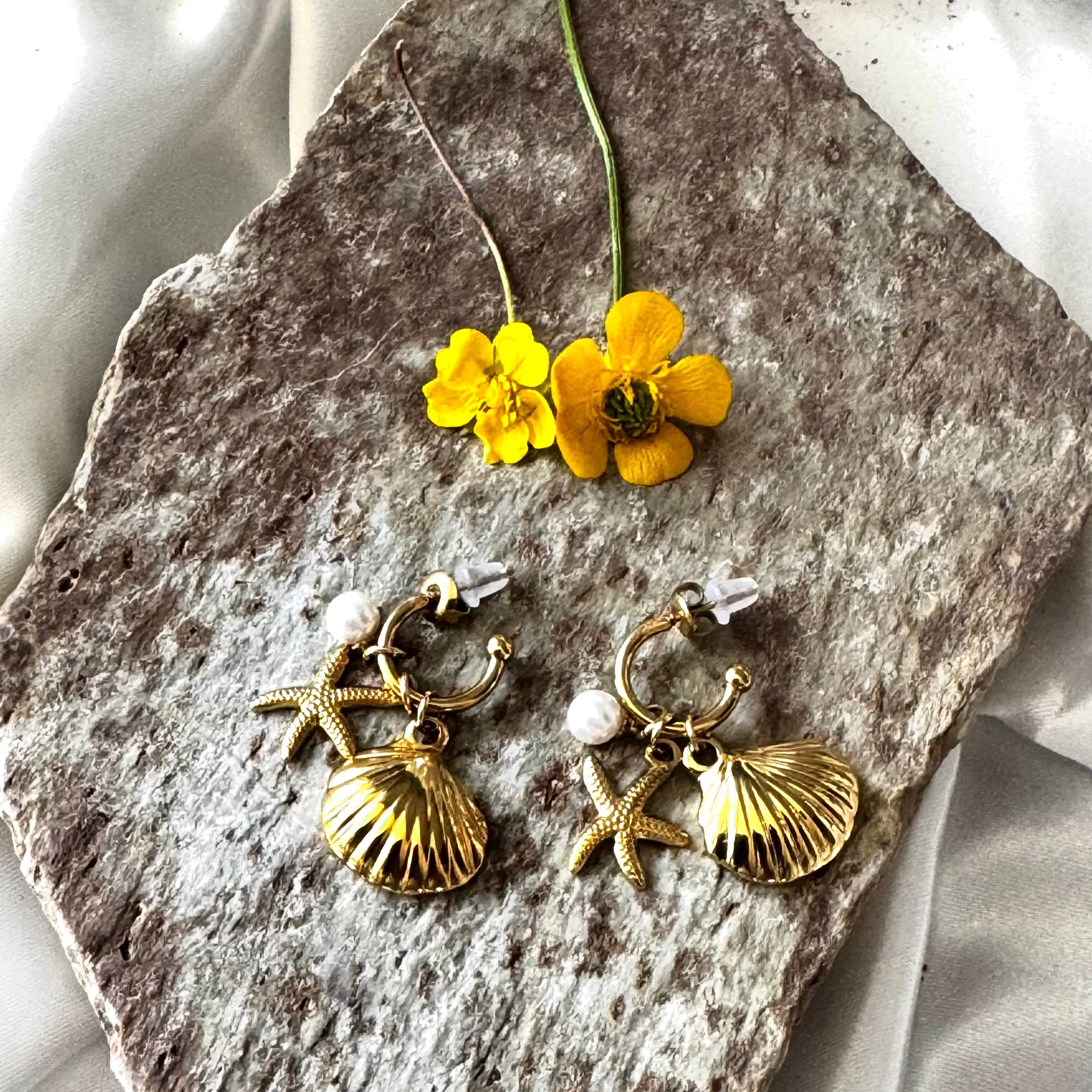 Hélianthème des Apennins EDELYA