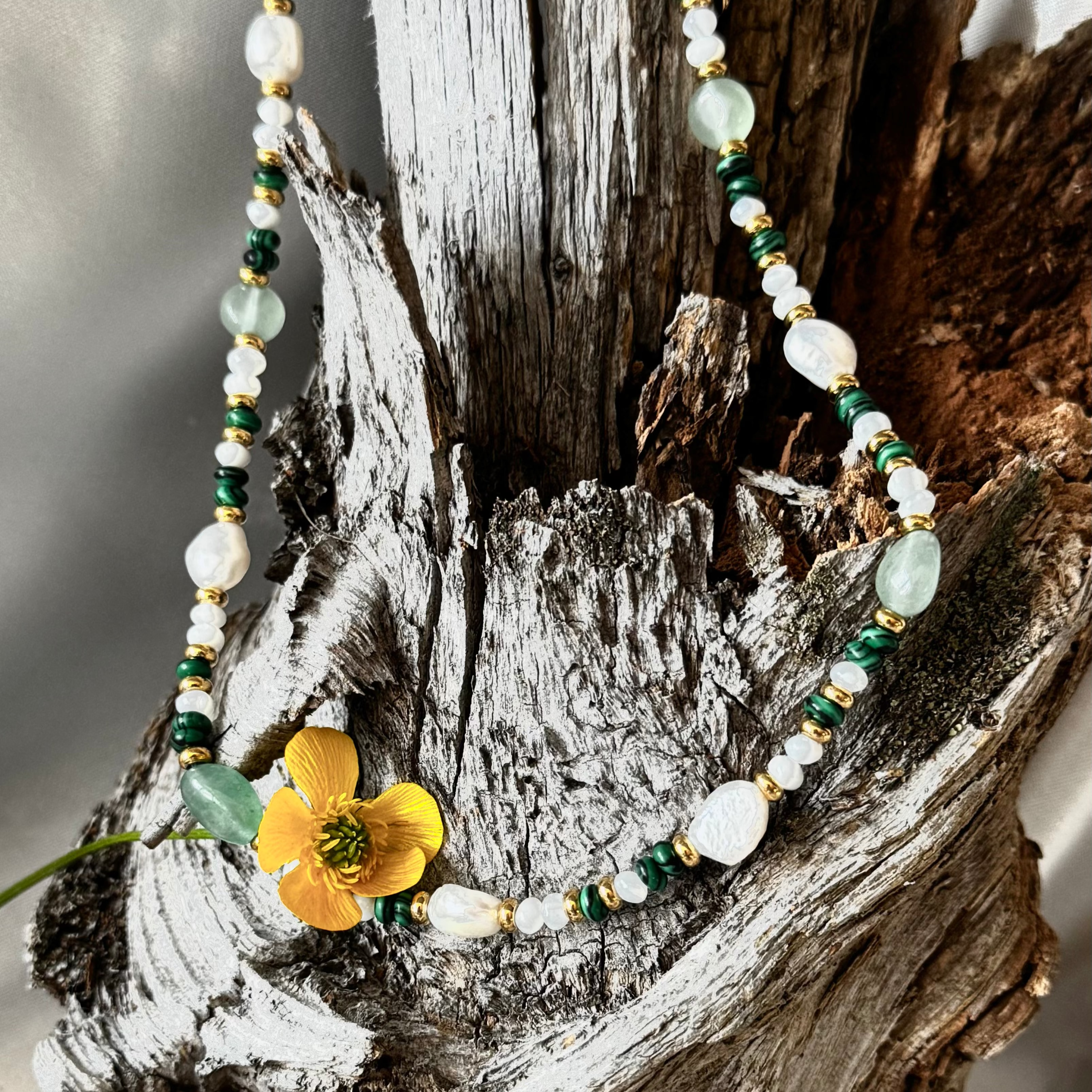 Luzule des neige EDELYA