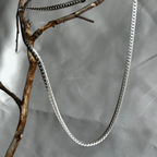 Moutarde des champs FP