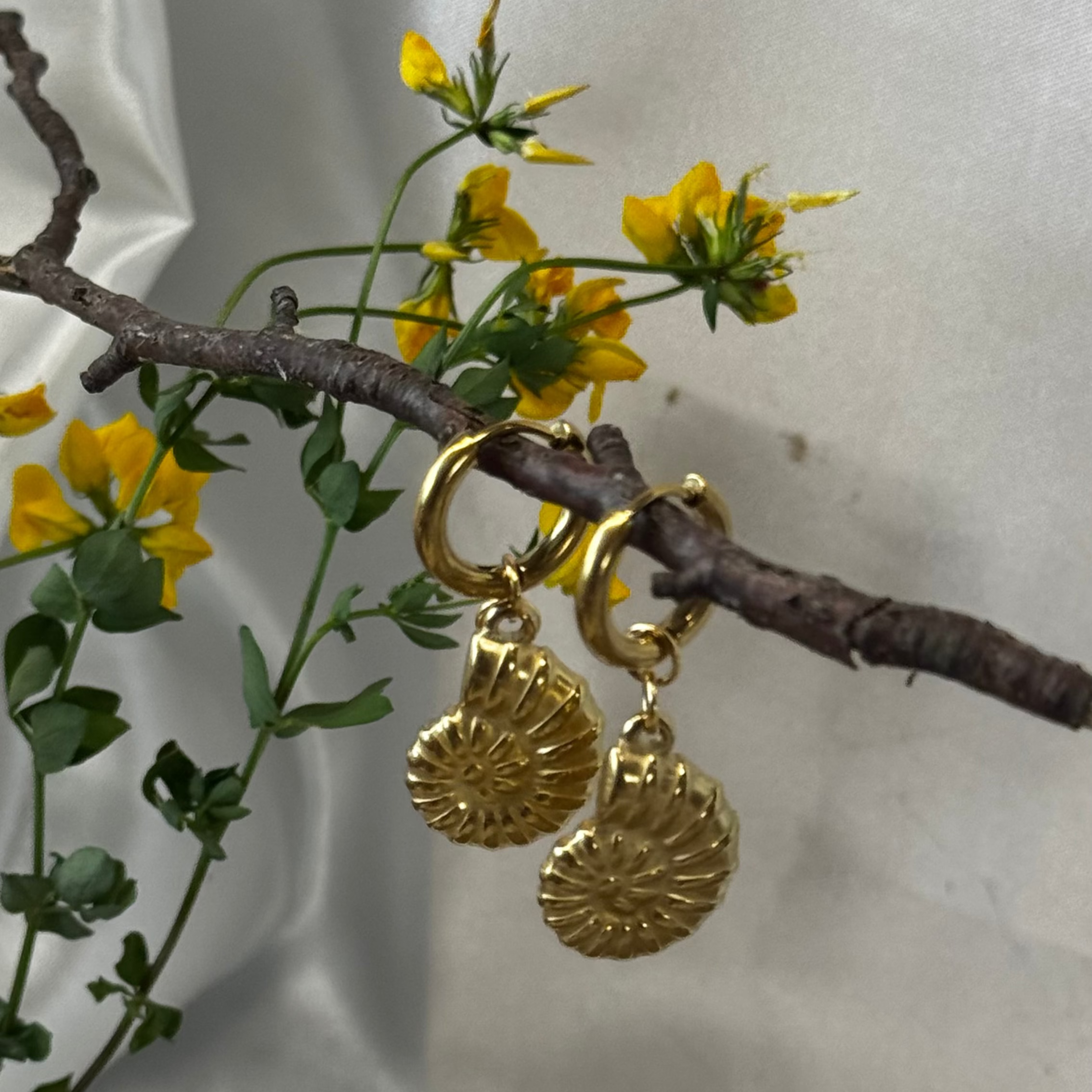 Onobrychis montana EDELYA