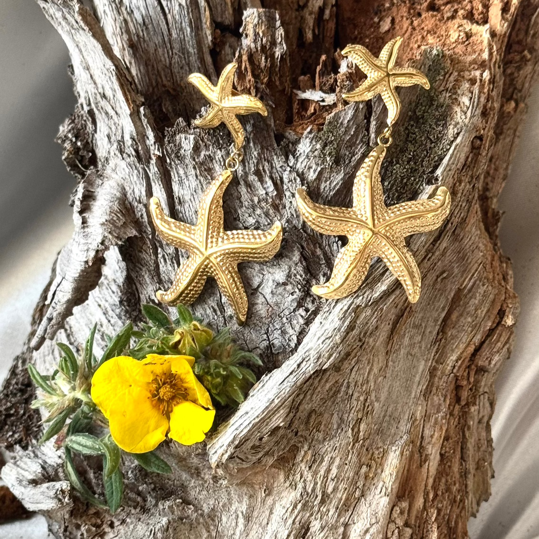 Oxytropis des Alpes EDELYA