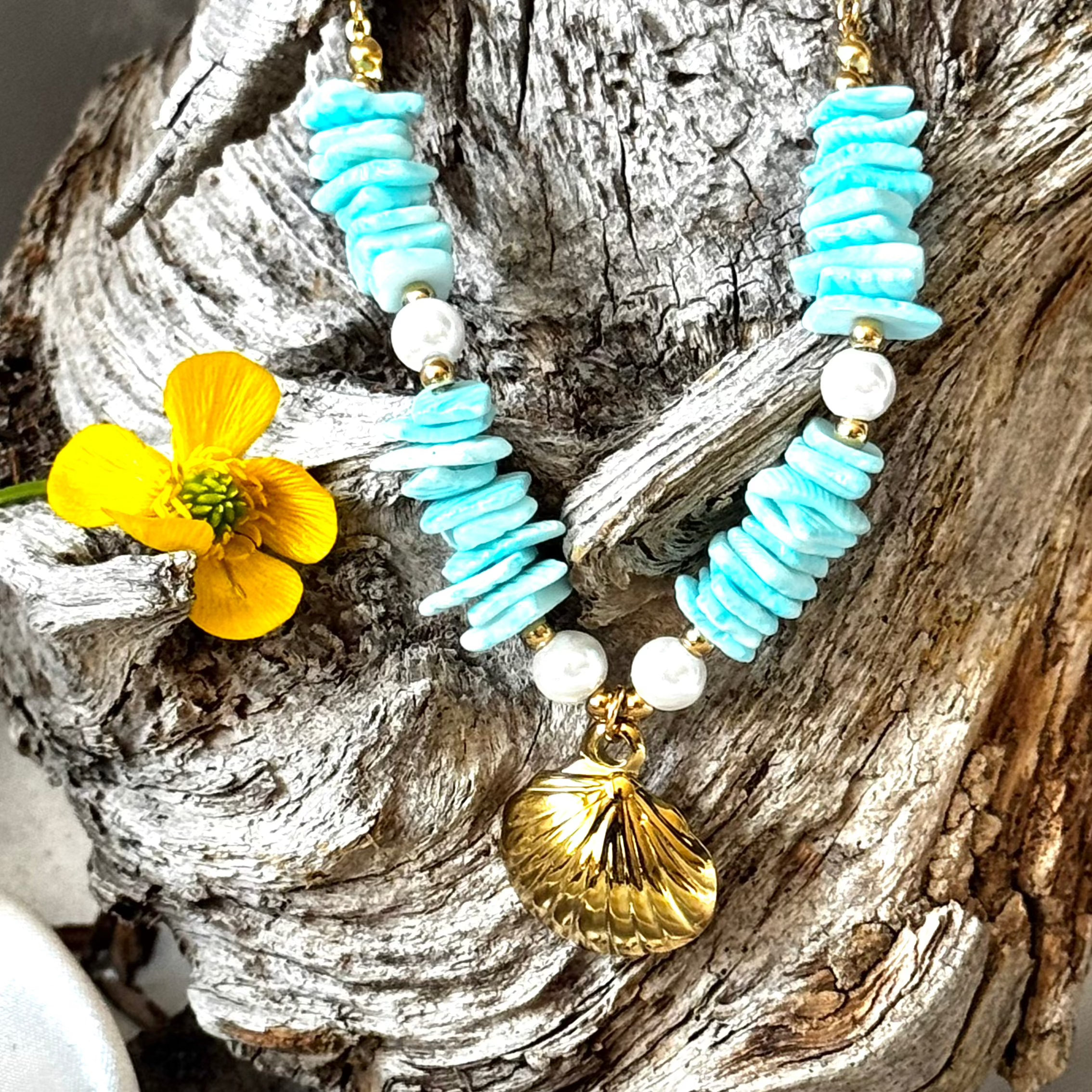 Primevère hirsute EDELYA