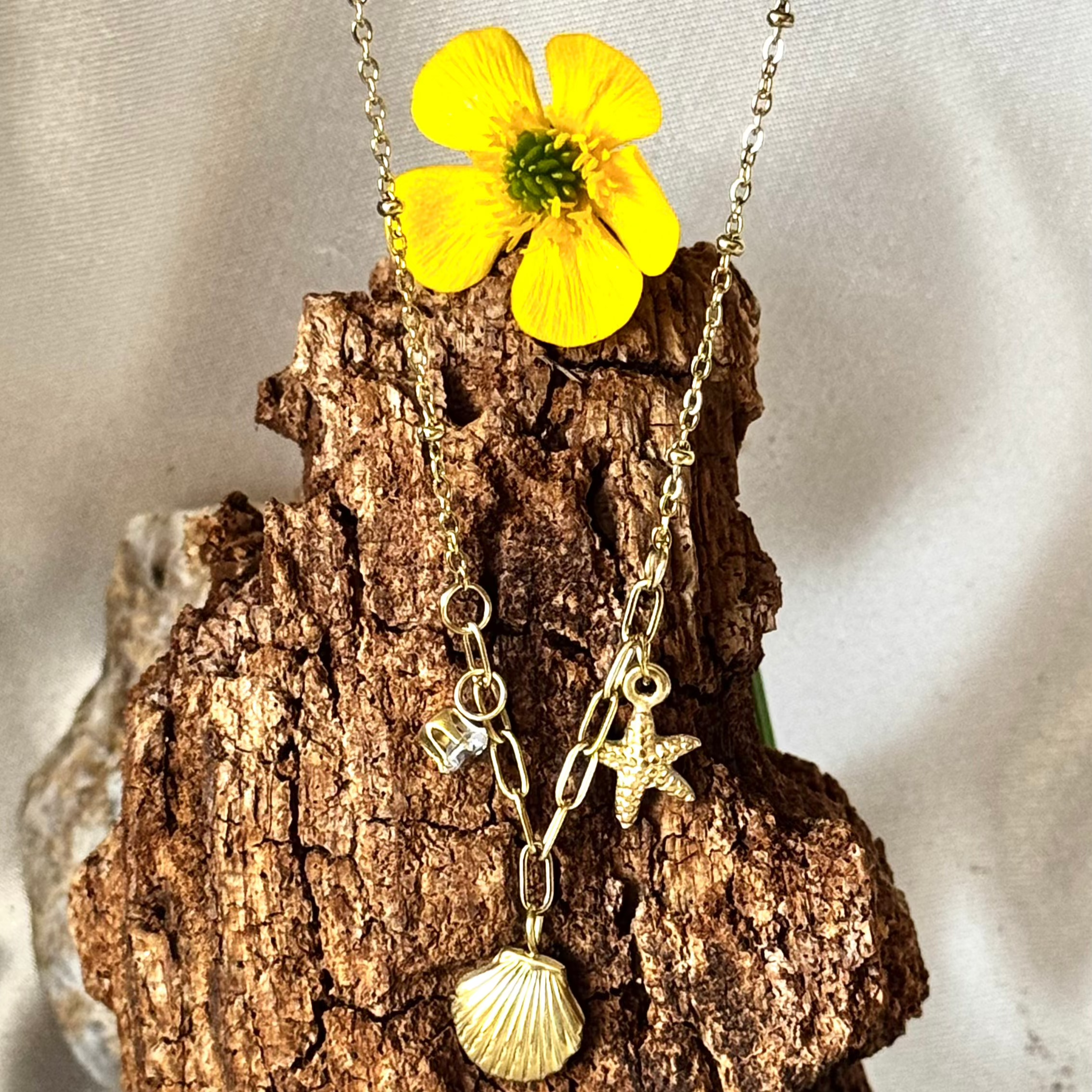 Renouée bistorte EDELYA