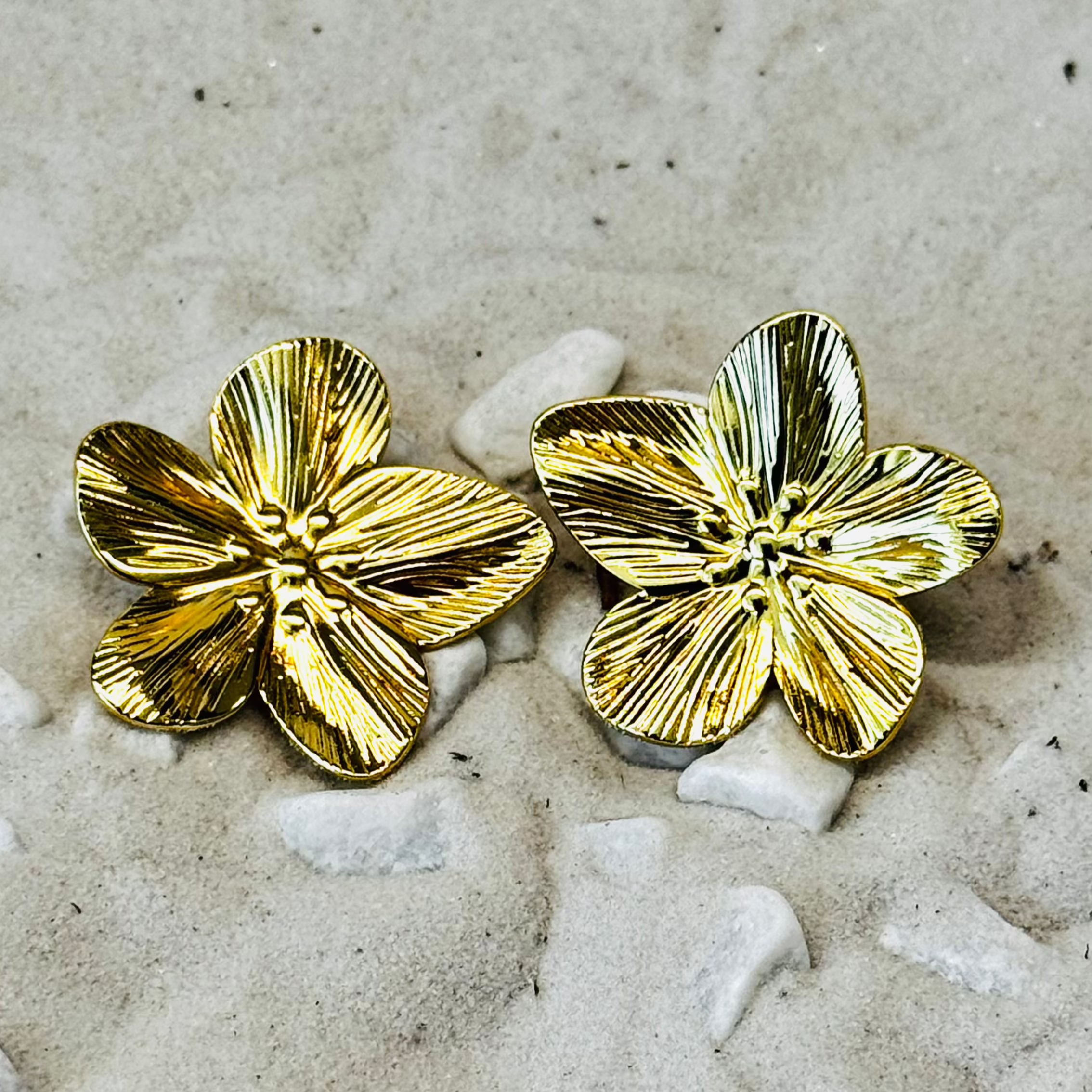 Marguerite (Boucles) N